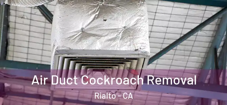  Air Duct Cockroach Removal Rialto - CA