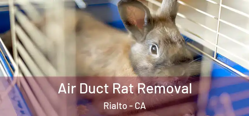  Air Duct Rat Removal Rialto - CA