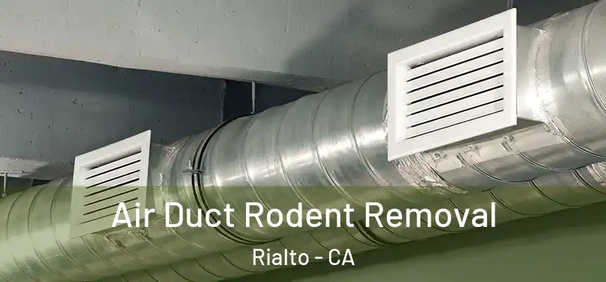 Air Duct Rodent Removal Rialto - CA
