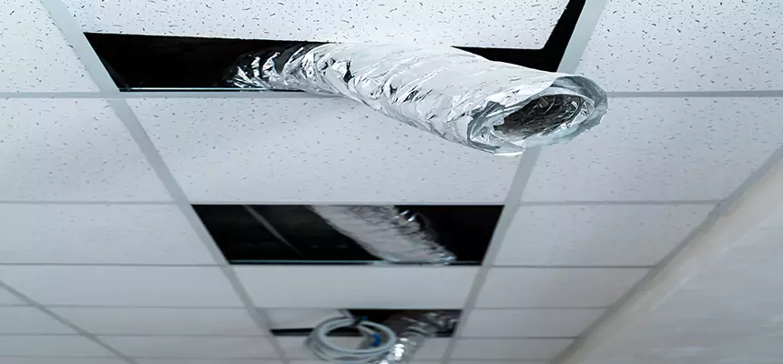 Affordable HVAC Sanitizing After Pest Removal in Rialto