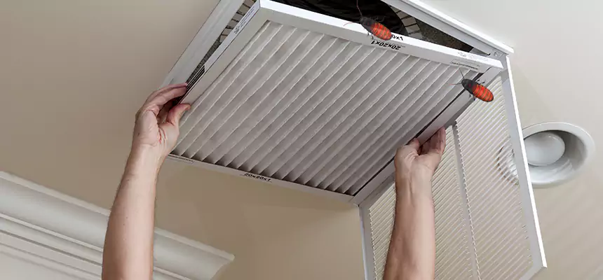 Our Insect Removal from Air Ducts Services in Rialto, CA