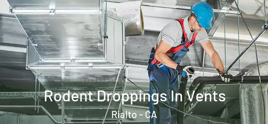 Rodent Droppings In Vents Rialto - CA