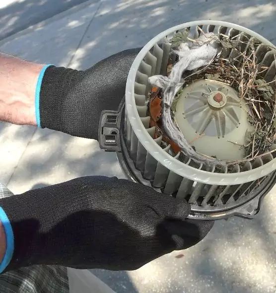 About Air Duct Mice Removal in Rialto, CA