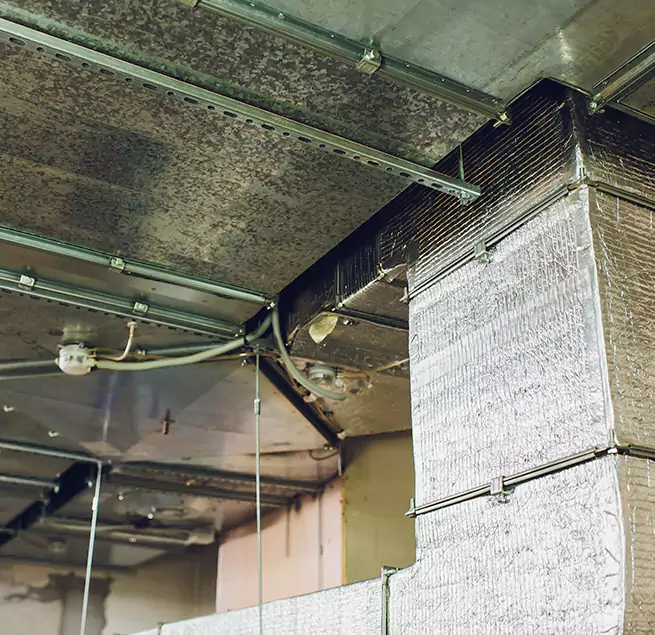 Why Homeowners & Businesses Trust Us in Rialto, CA?