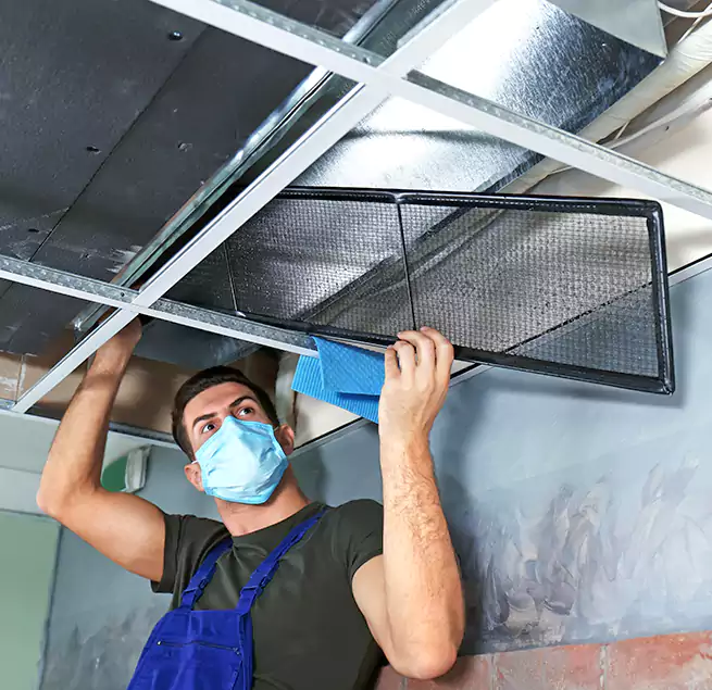 Why Homeowners Businesses Trust Us in Rialto, CA